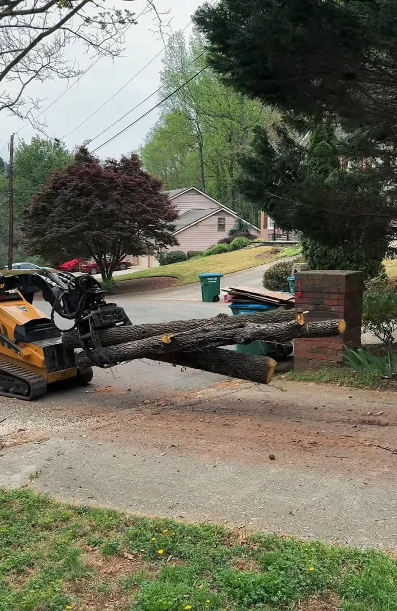 Tree removal service with heavy equipment in Forney, TX